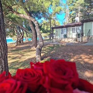Family Pineta Kroatië