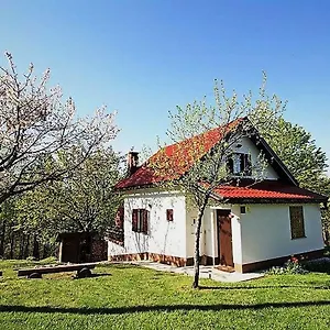 Coprnicka Hisa Kroatië